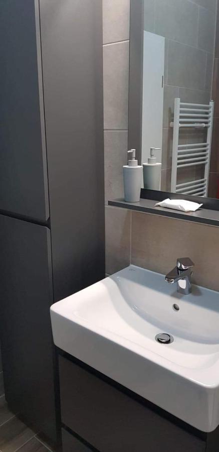 Apartament modern Ioan Popasu Apartment Brasov Bagian luar foto